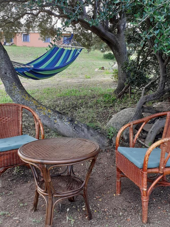 אגליאנטו Agriturismo Gli Olivastri Appartamento Corbezzolo Con Piscina E Vista Mare,Climatizzatore,Wifi מראה חיצוני תמונה