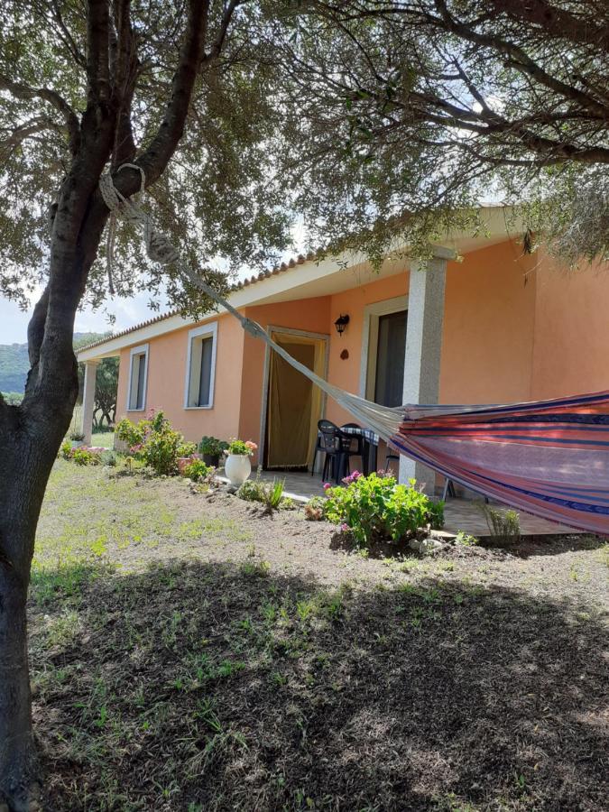 אגליאנטו Agriturismo Gli Olivastri Appartamento Corbezzolo Con Piscina E Vista Mare,Climatizzatore,Wifi מראה חיצוני תמונה