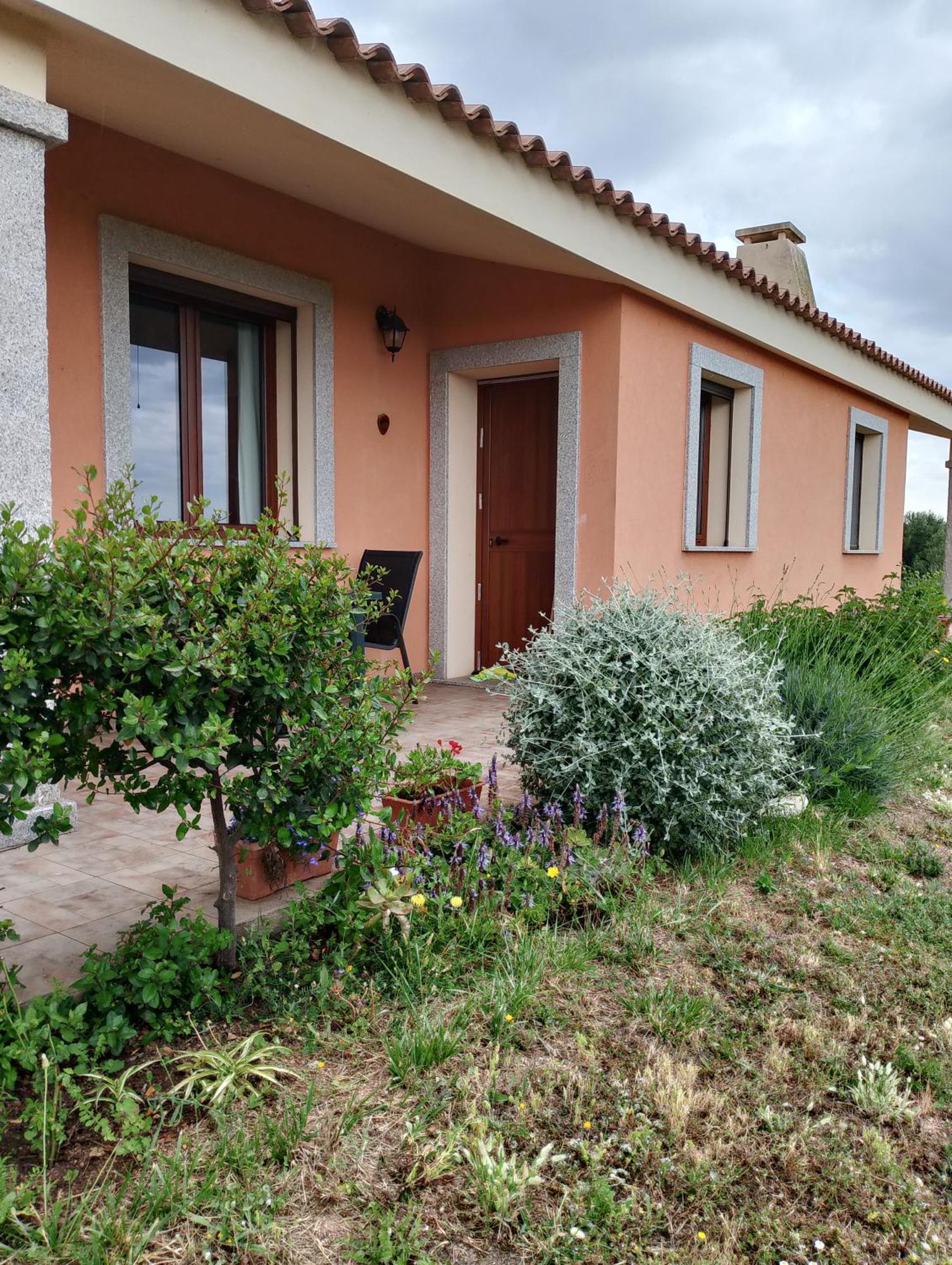 אגליאנטו Agriturismo Gli Olivastri Appartamento Corbezzolo Con Piscina E Vista Mare,Climatizzatore,Wifi מראה חיצוני תמונה